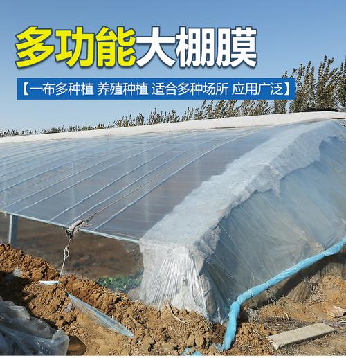 梦凡尘进口PE大棚膜 无滴、消雾、灌浆多功能薄膜解析