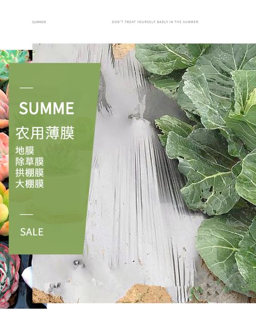 凯帝农用薄膜 从白色水稻育秧微膜到武汉大棚膜价格全解析