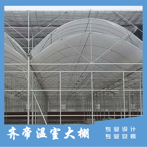 25年寿命骨架与卓越抗风雪能力 现代大棚的“钢筋铁骨”与薄膜科技